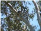 Kurwongbah QLD 4503