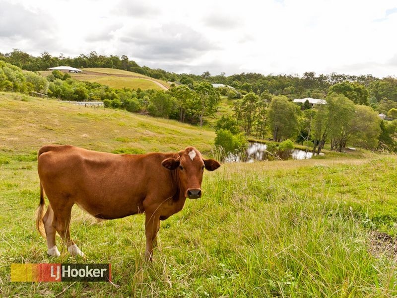 4 Brownlow Court, Cashmere QLD 4500