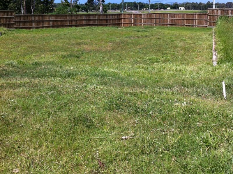 14 Norgay Court, Warner QLD 4500