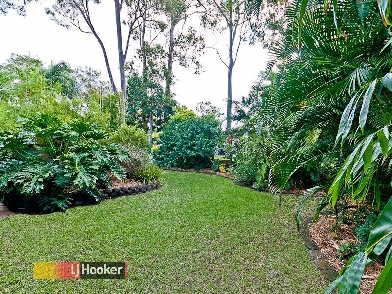 6 Lindfield Dr, Petrie QLD 4502