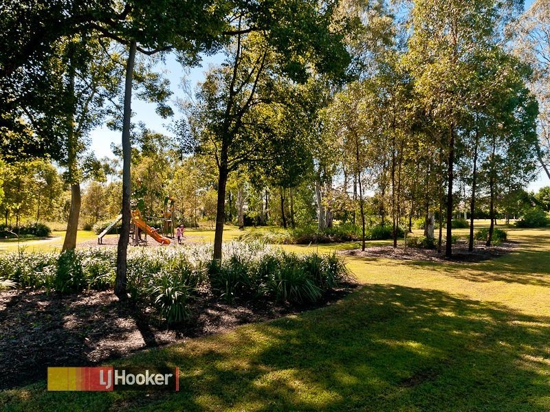 39 Cyperus Cres, Carseldine QLD 4034