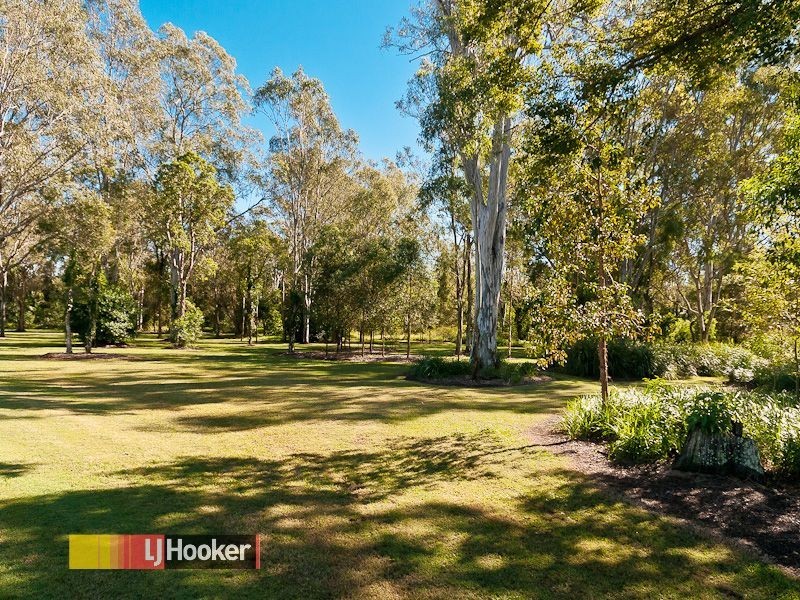 39 Cyperus Cres, Carseldine QLD 4034