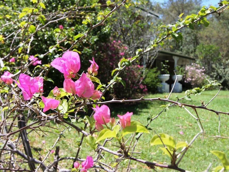 17 Sarow Drive, Warner QLD 4500