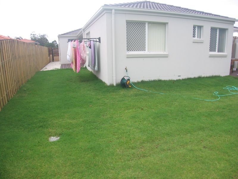 11 Cyperus Cres, Carseldine QLD 4034