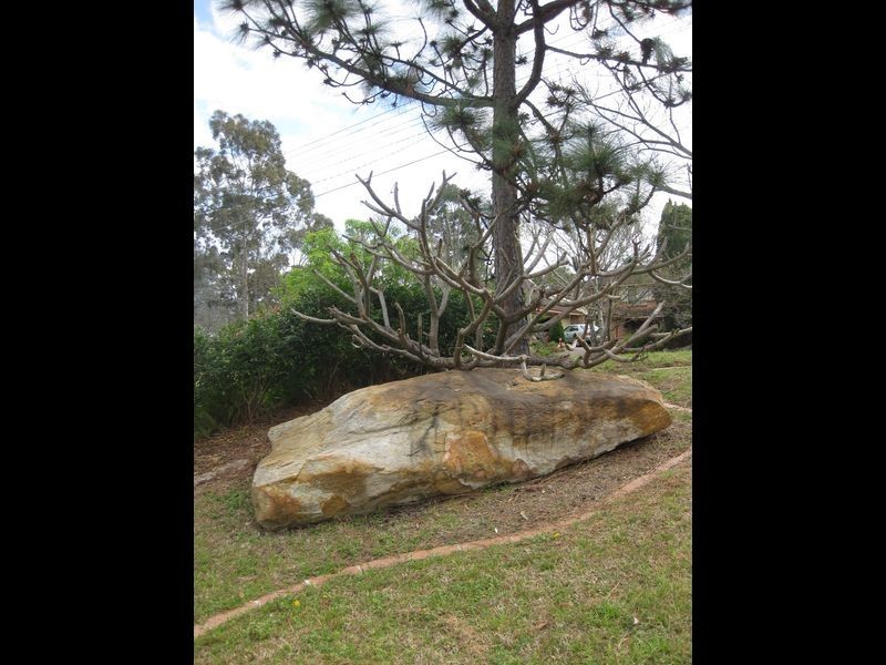 75 David Road, Castle Hill NSW 2154