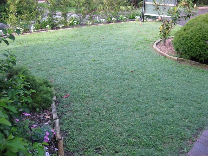 67 Boronia Place, Cheltenham NSW 2119