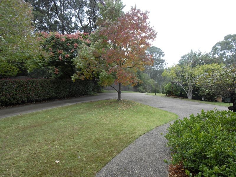 147 Oratava Avenue, West Pennant Hills NSW 2125