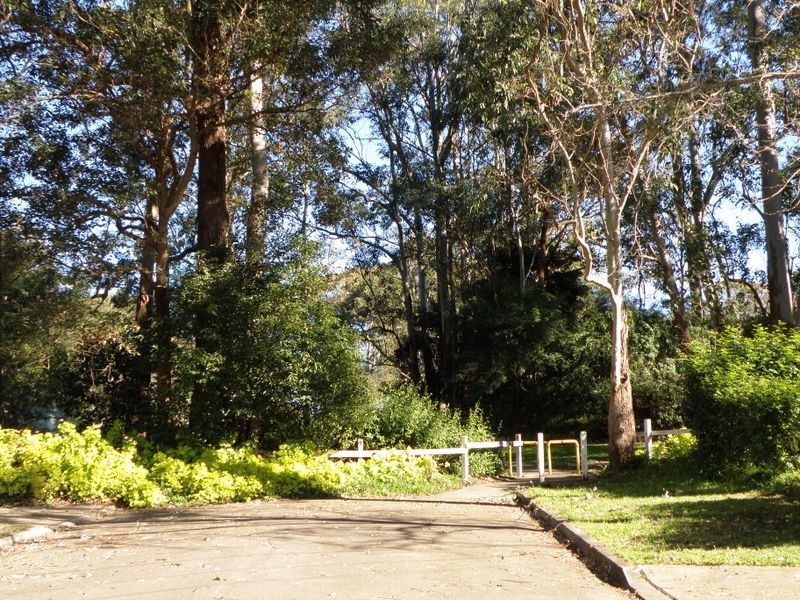 17 Lorrina Close, West Pennant Hills NSW 2125