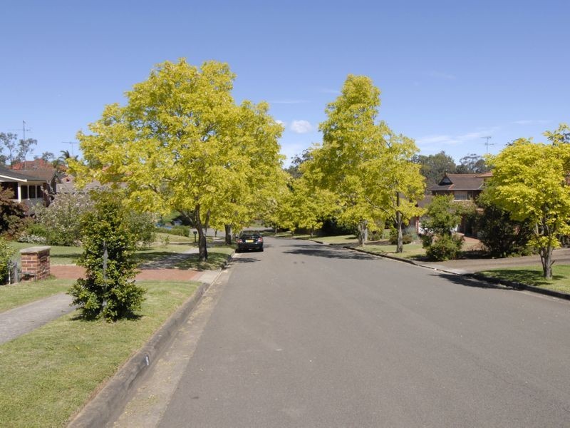 8 Bowen Close, Cherrybrook NSW 2126