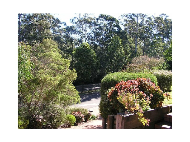 50 Highs Road, West Pennant Hills NSW 2125