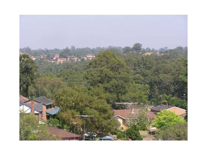 31 Anne William Drive, West Pennant Hills NSW 2125