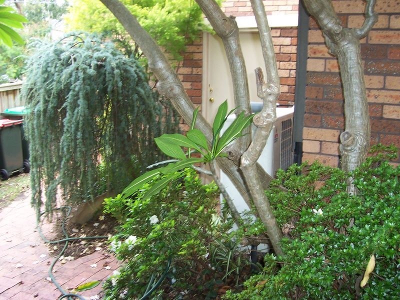46 Yanderra Crescent, Cherrybrook NSW 2126