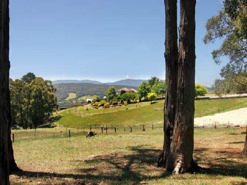 485 Lusatia Park Road, Hoddles Creek VIC 3139