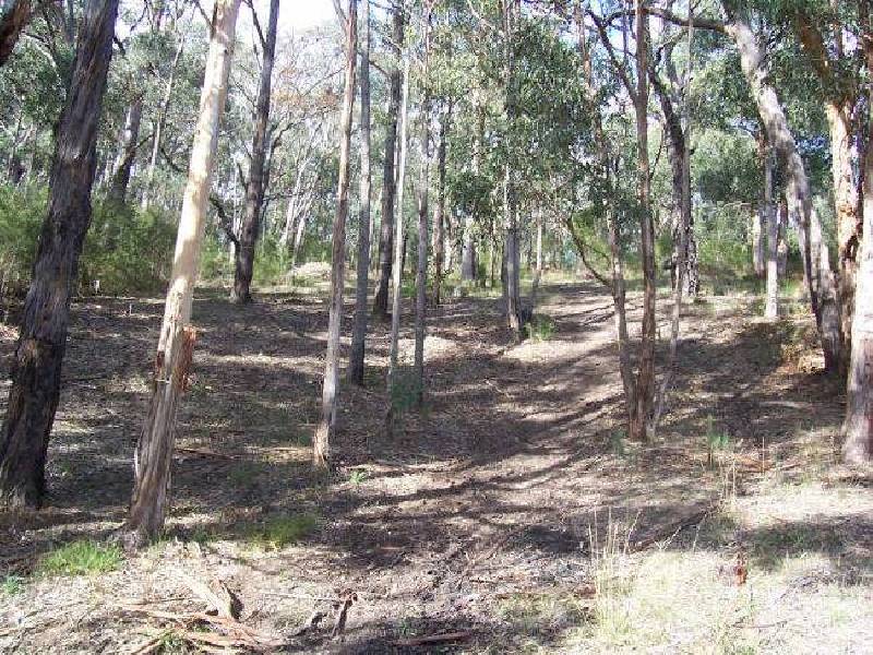 1 Damon Court, Millgrove VIC 3799