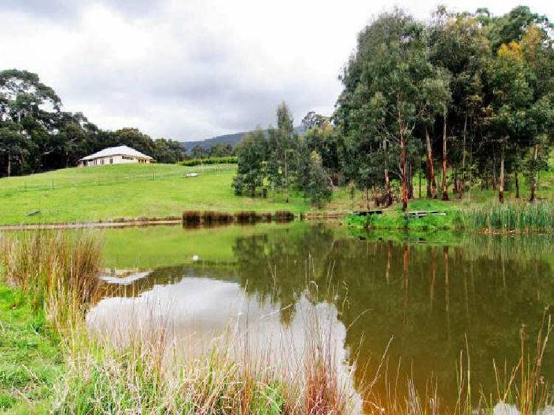 40 Sherriff Close, Millgrove VIC 3799