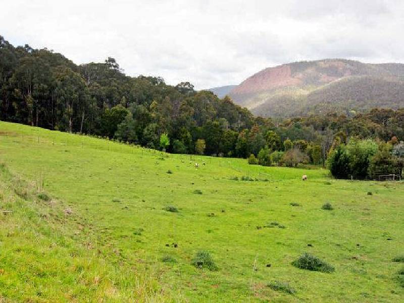40 Sherriff Close, Millgrove VIC 3799
