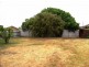 19 Alfred Street, Seaton SA 5023