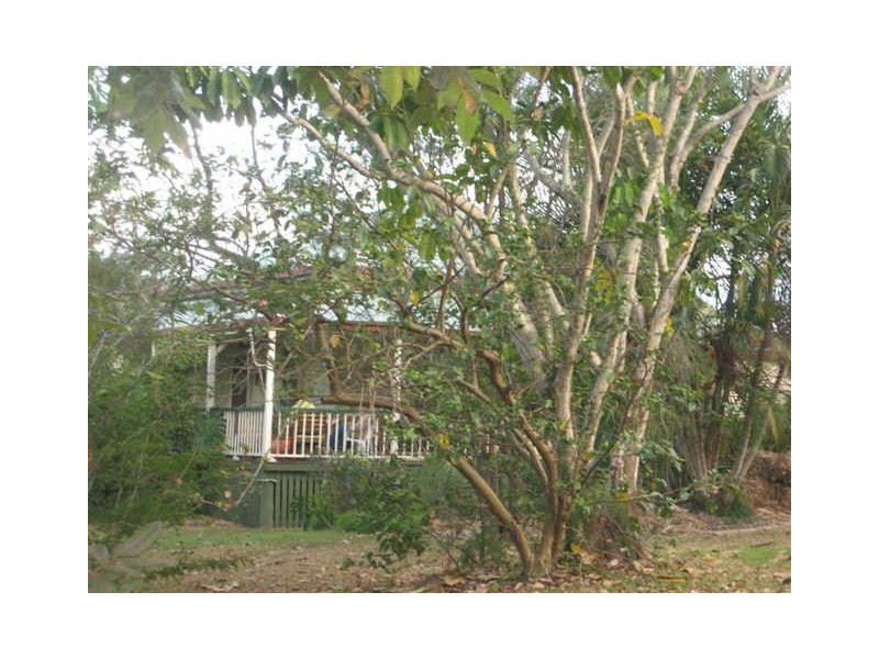 43 Felling Drive, Maudsland QLD 4210