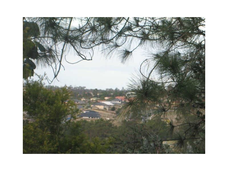 43 Felling Drive, Maudsland QLD 4210