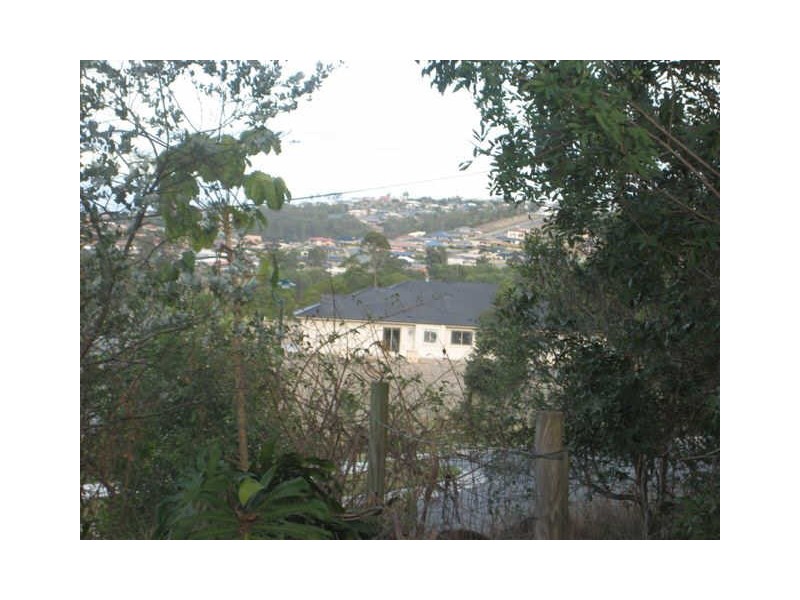 43 Felling Drive, Maudsland QLD 4210