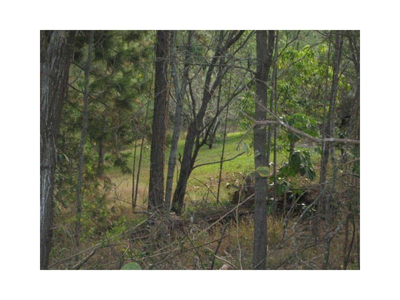 43 Felling Drive, Maudsland QLD 4210