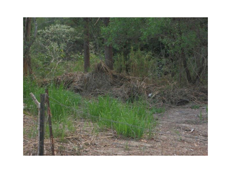 47 Felling Drive, Maudsland QLD 4210