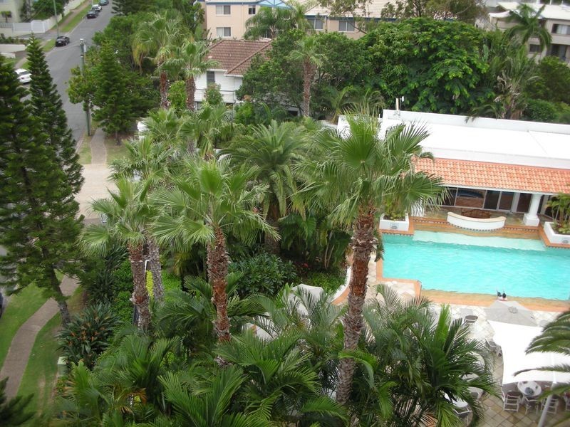 Surfers Paradise QLD 4217