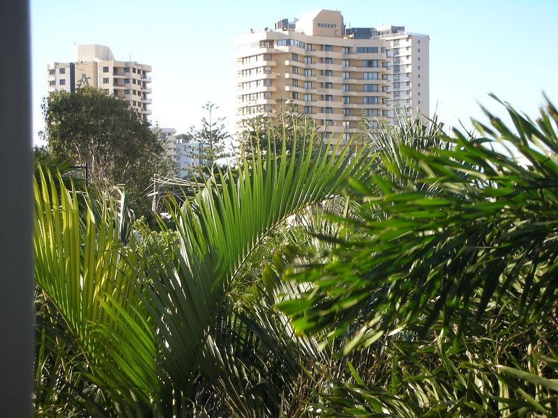 6/2894 Gold Coast Highway, Surfers Paradise QLD 4217