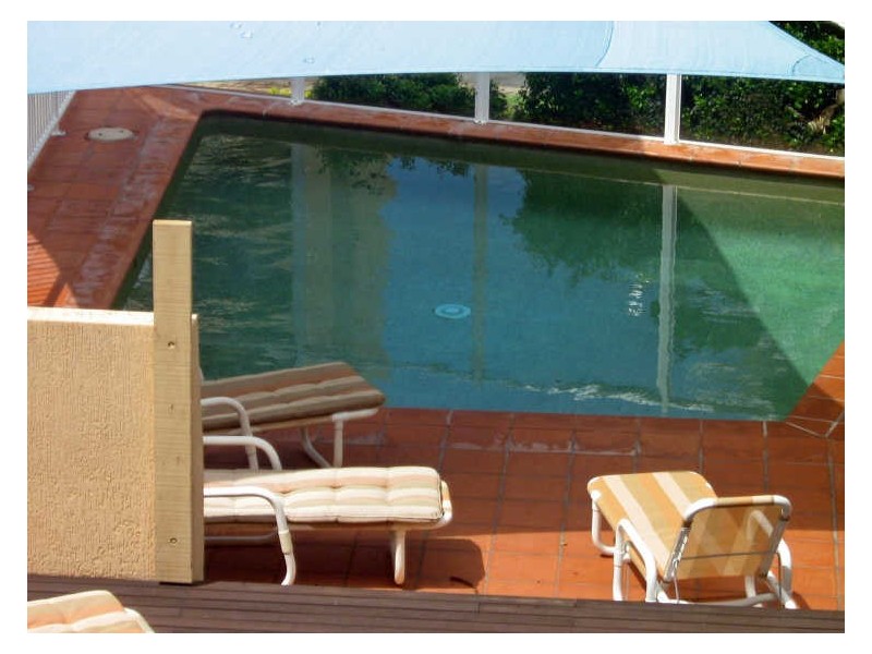 31/25 Markwell Avenue, Surfers Paradise QLD 4217