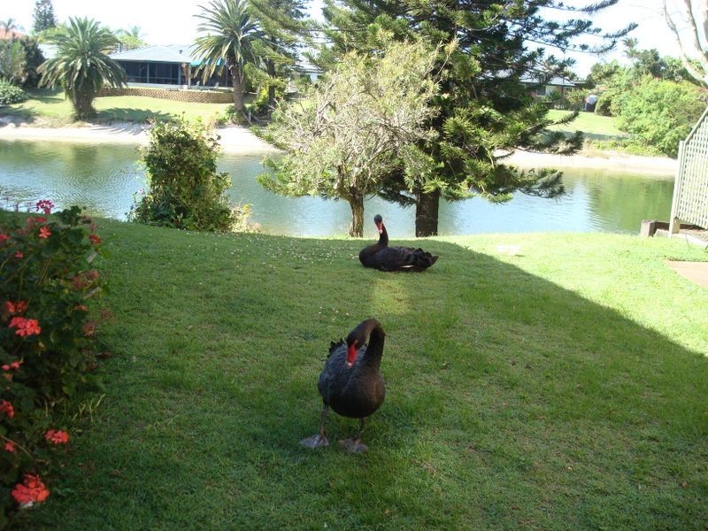 Mermaid Waters QLD 4218