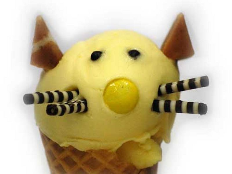 Biggera Waters QLD 4216