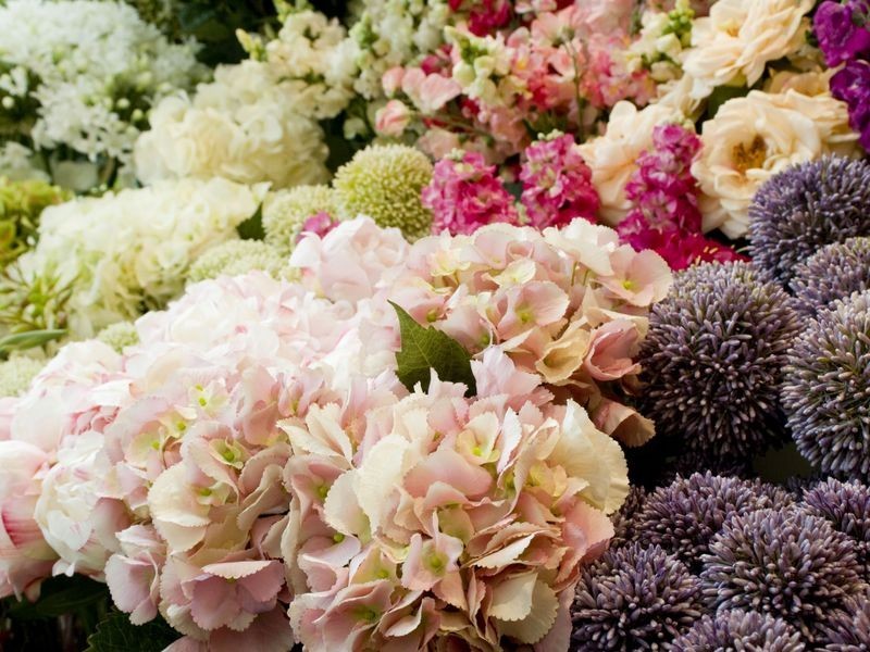 Shop 28A/2 Pearl Street, Kingscliff NSW 2487