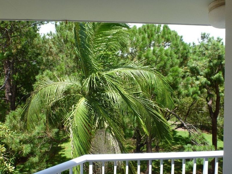 15/36 Monaco Street, Surfers Paradise QLD 4217