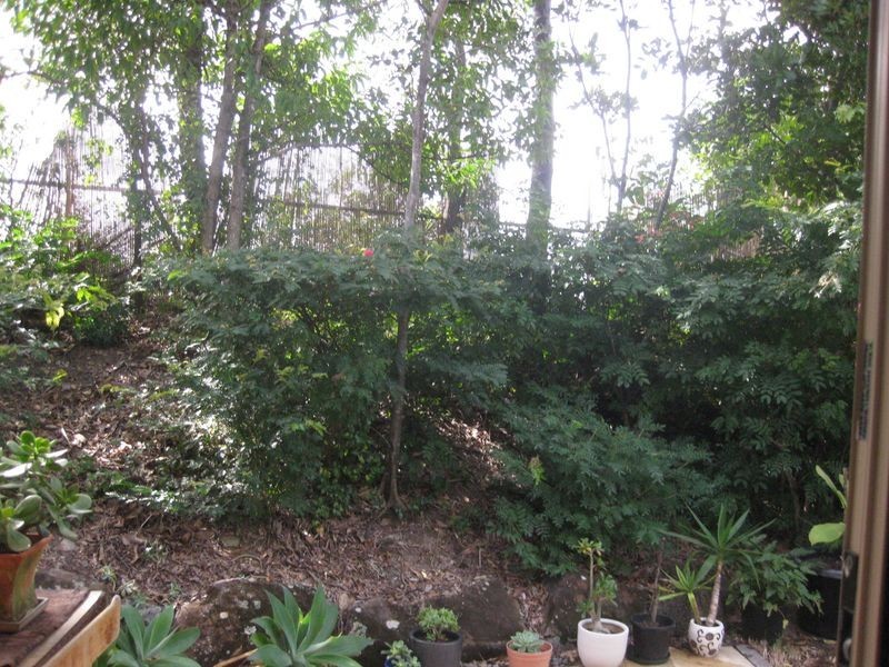 Reedy Creek QLD 4227