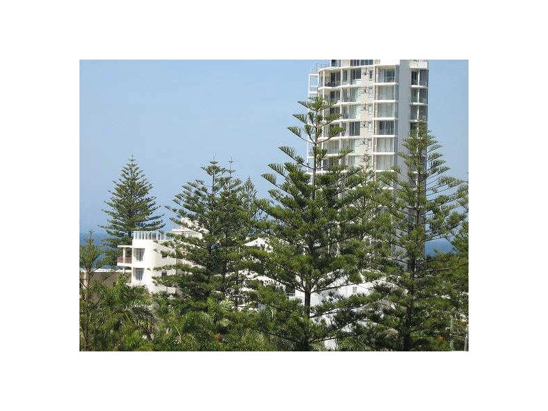 Surfers Paradise QLD 4217