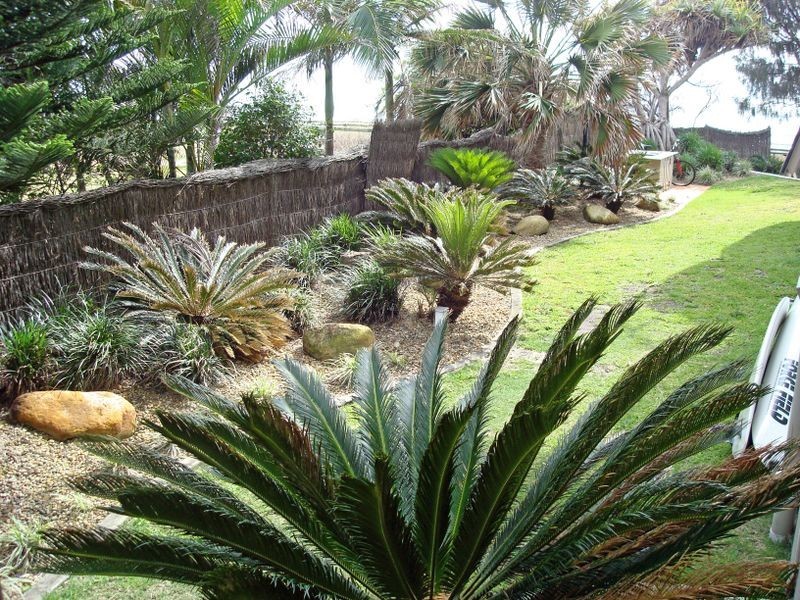 Palm Beach QLD 4221