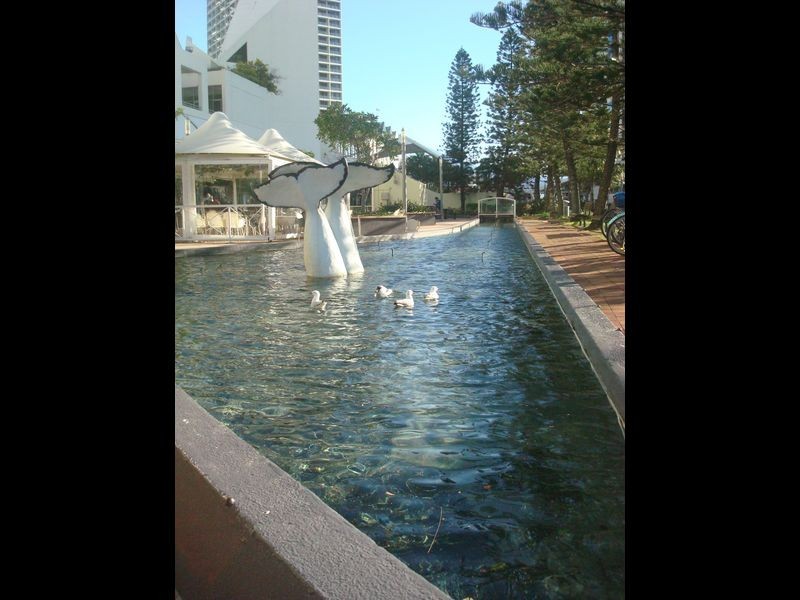 Broadbeach QLD 4218