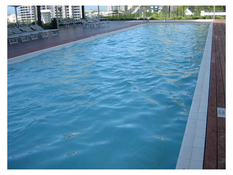 Broadbeach QLD 4218