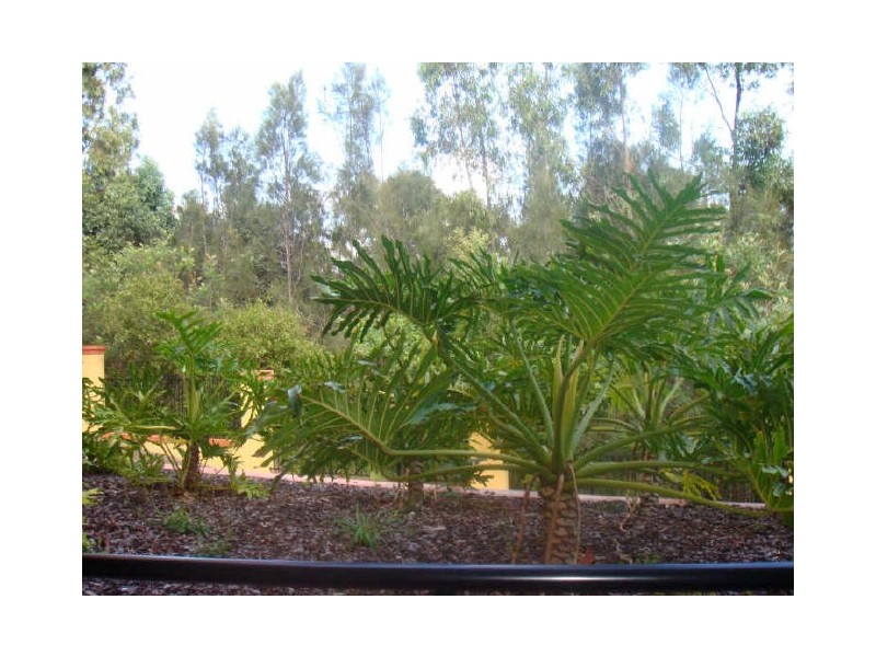 Miami QLD 4220