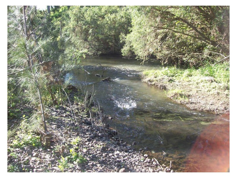 38 Reisers Lane, Boyland QLD 4275