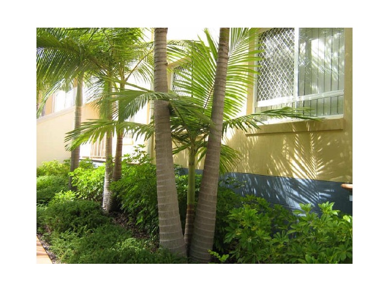 232/35 PALM AVENUE, Surfers Paradise QLD 4217