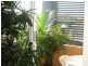 31-33 Mawarra Street, Chevron Island QLD 4217