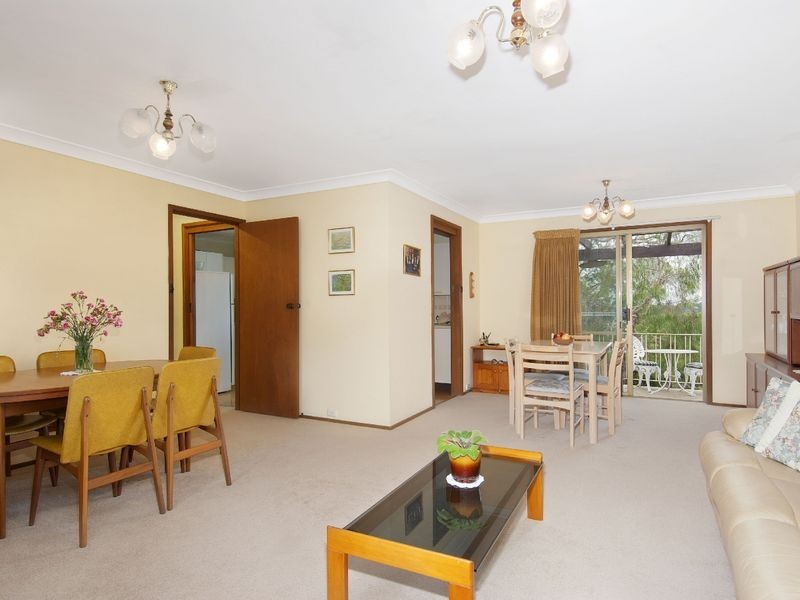 19 Springvale Avenue, Frenchs Forest NSW 2086