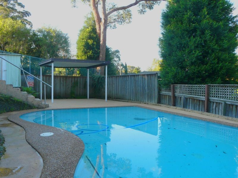 19 Jindabyne Street, Frenchs Forest NSW 2086