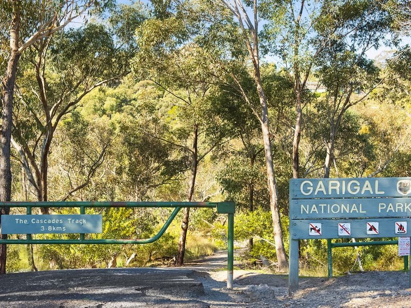 35 Stone Parade, Davidson NSW 2085