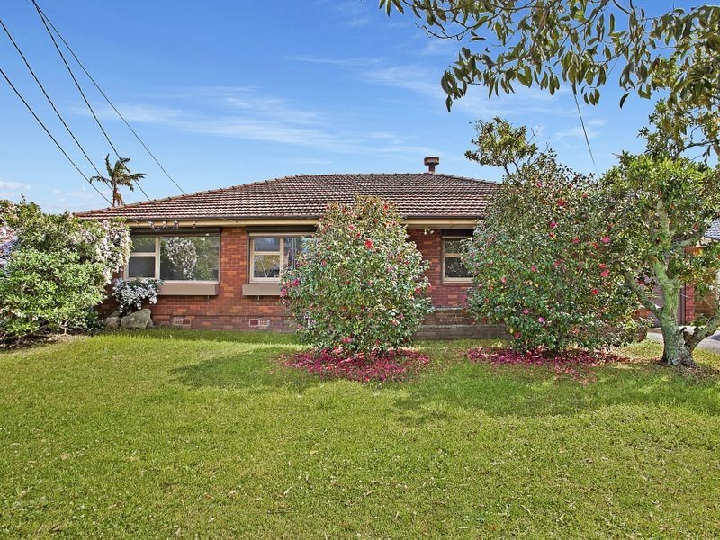 116 Blackbutts Road, Frenchs Forest NSW 2086