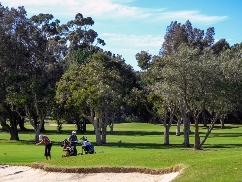 81 Macmillan Street, Seaforth NSW 2092