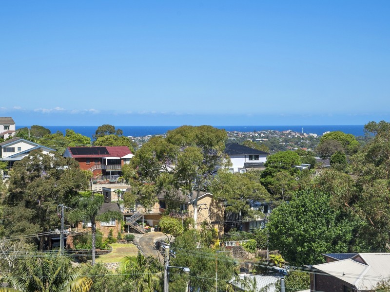 17 Elliot Street, Beacon Hill NSW 2100