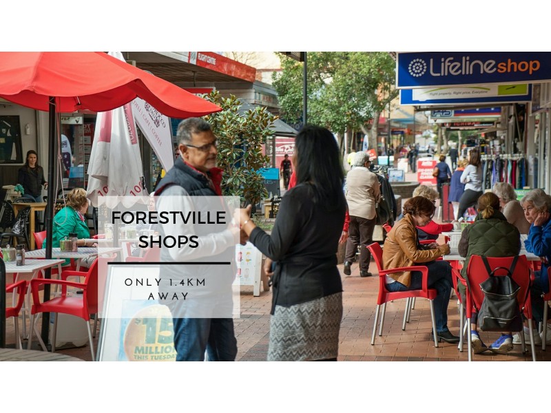 Forestville NSW 2087