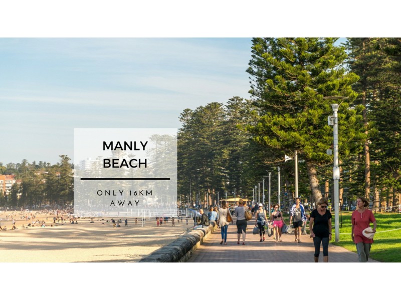 Forestville NSW 2087